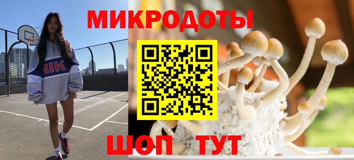 Псилоцибиновые грибы Magic Shrooms Ревда