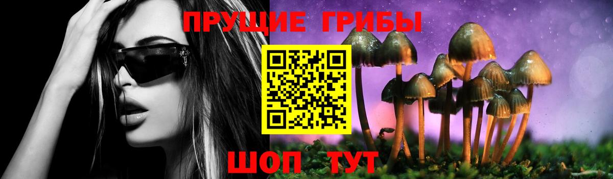 Ревда  Галлюциногенные грибы Magic Shrooms  Вход с VPN 